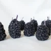 Beeswax Blackberry Birthday Candles - 5 count