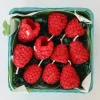 Beeswax Raspberry Birthday - 10 count