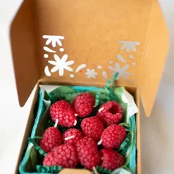 Beeswax Raspberry Birthday - 10 count