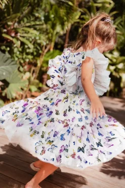 Butterfly Fairy Dress