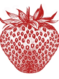 Calliope Tee - Strawberry