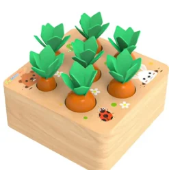 Carrots Harvest Shape Size Sorting