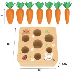 Carrots Harvest Shape Size Sorting
