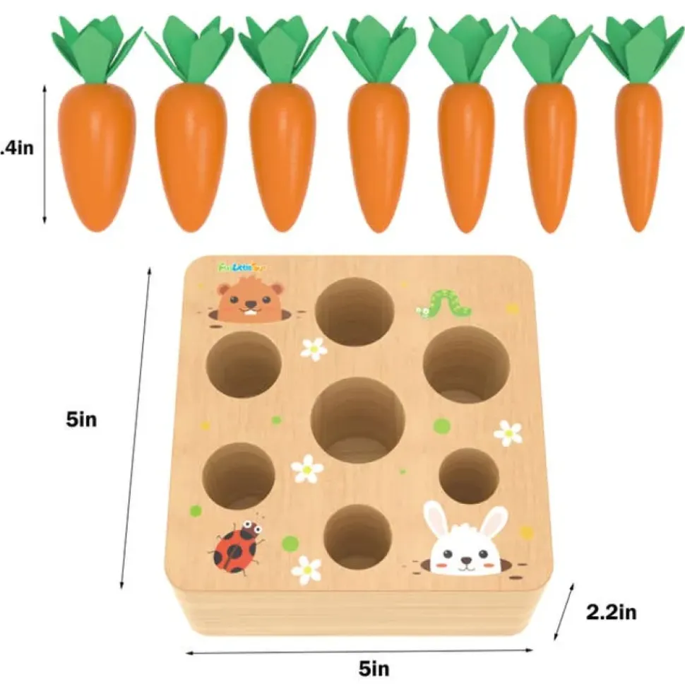 Carrots Harvest Shape Size Sorting