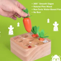 Carrots Harvest Shape Size Sorting