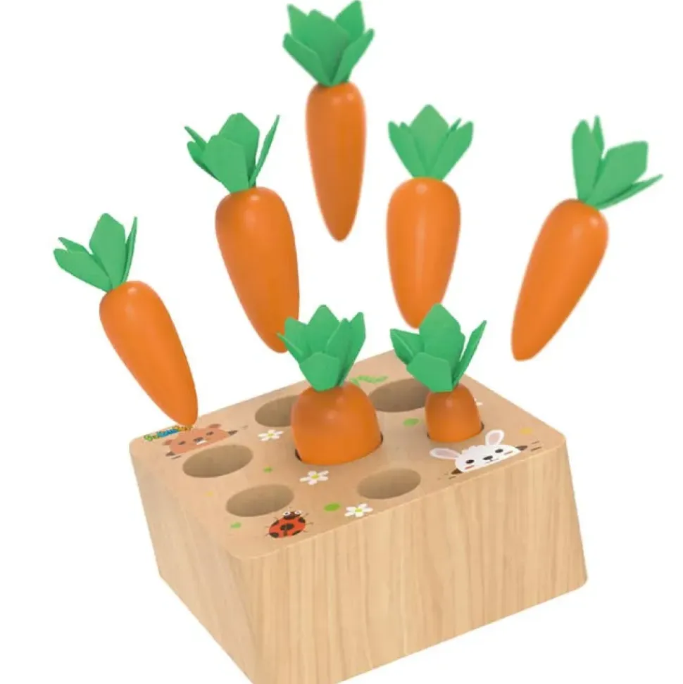 Carrots Harvest Shape Size Sorting
