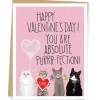 Cat Purrrfection Valentine's Day Card
