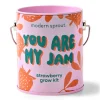 Colors Grow Kits - Strawberry
