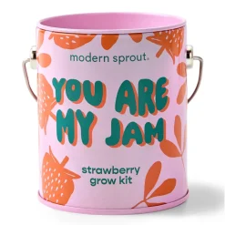 Colors Grow Kits - Strawberry
