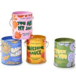 Colors Grow Kits - Strawberry