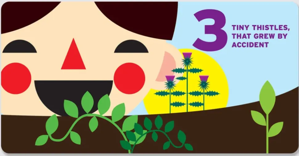 Counting in the Garden