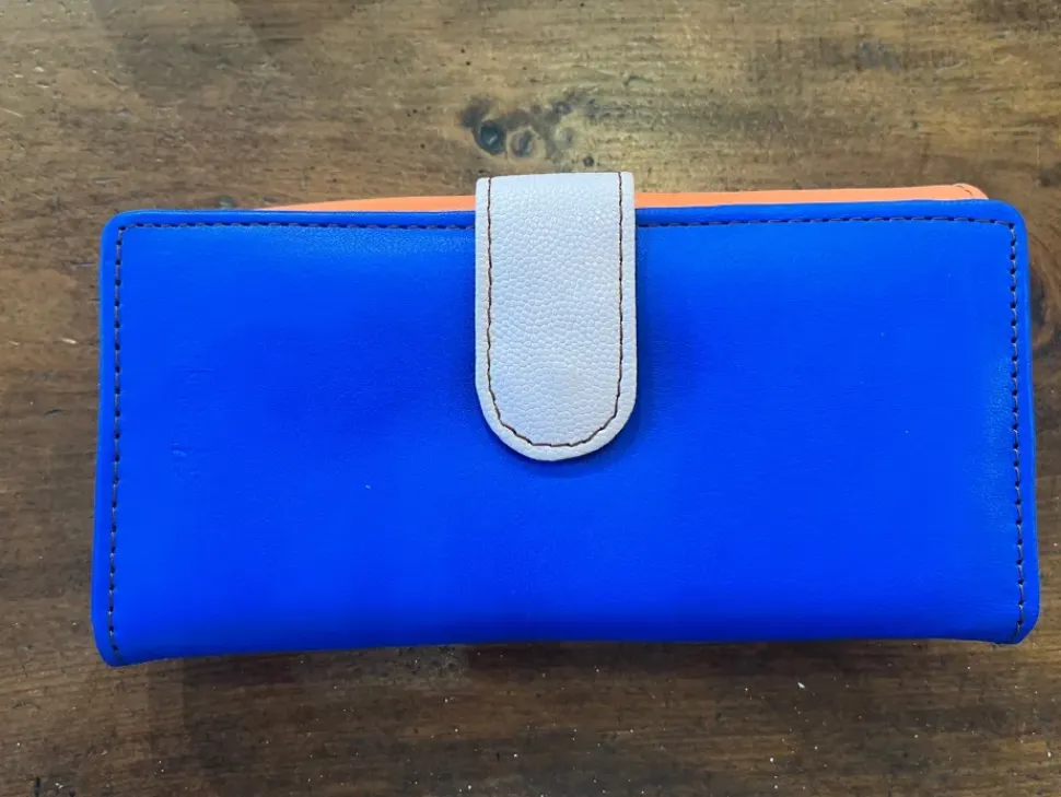 Esme Color-Block Wallet