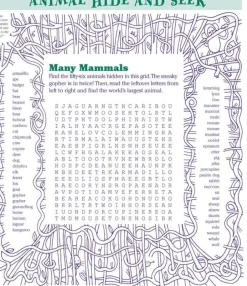 Everything Kids' Puzzle Book
