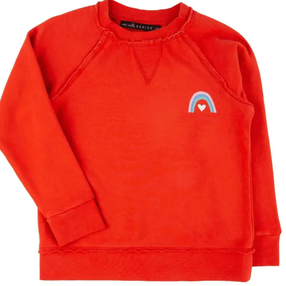 Iggy Pullover Rainbow Handball