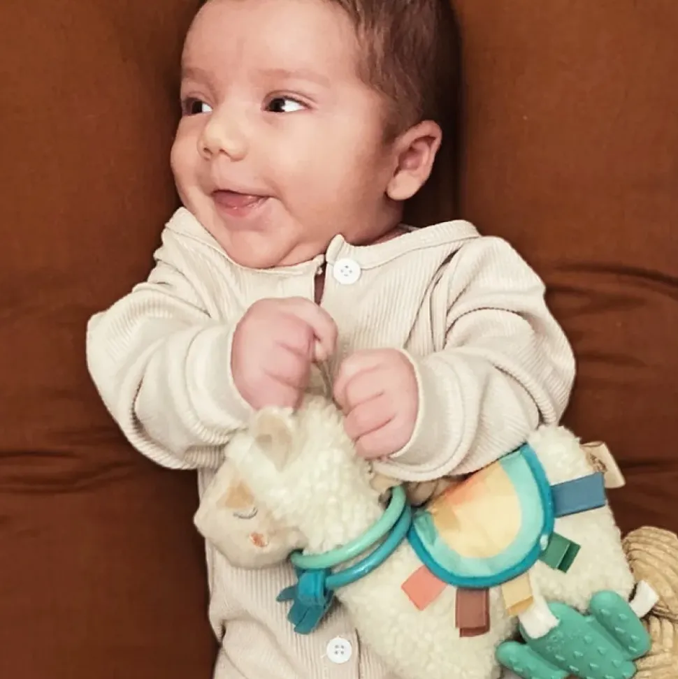 Itzy Friends Link & Love™ Activity Plush with Teether Toy - Llama