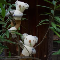 Koa the Koala