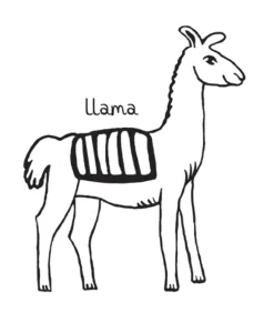 Latin America Coloring Book