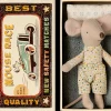 Little Brother Mouse in Matchbox