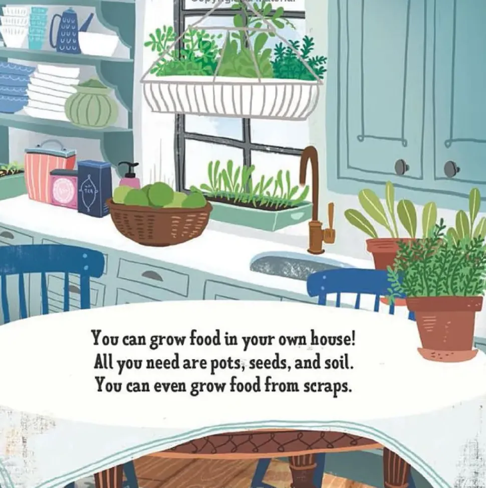 My First Book of Growing Food - Board Book