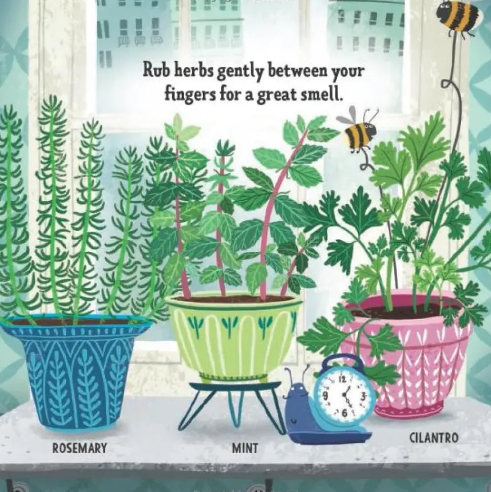 My First Book of Growing Food - Board Book