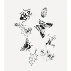 Outdoor Discovery Solar Print Kit