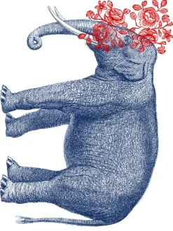 Pia Pullover - Elephant