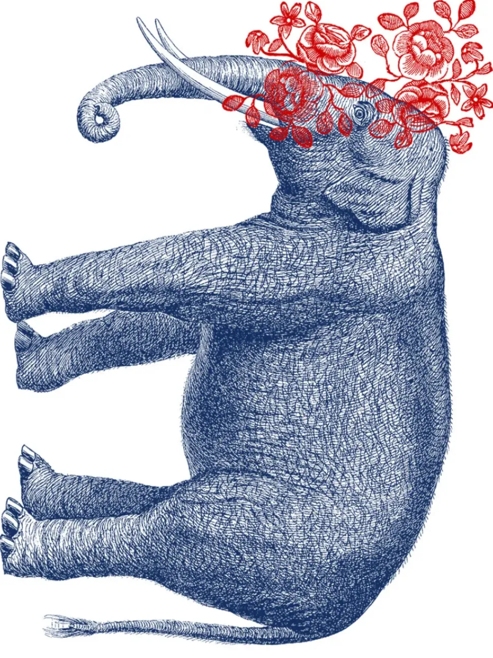 Pia Pullover - Elephant