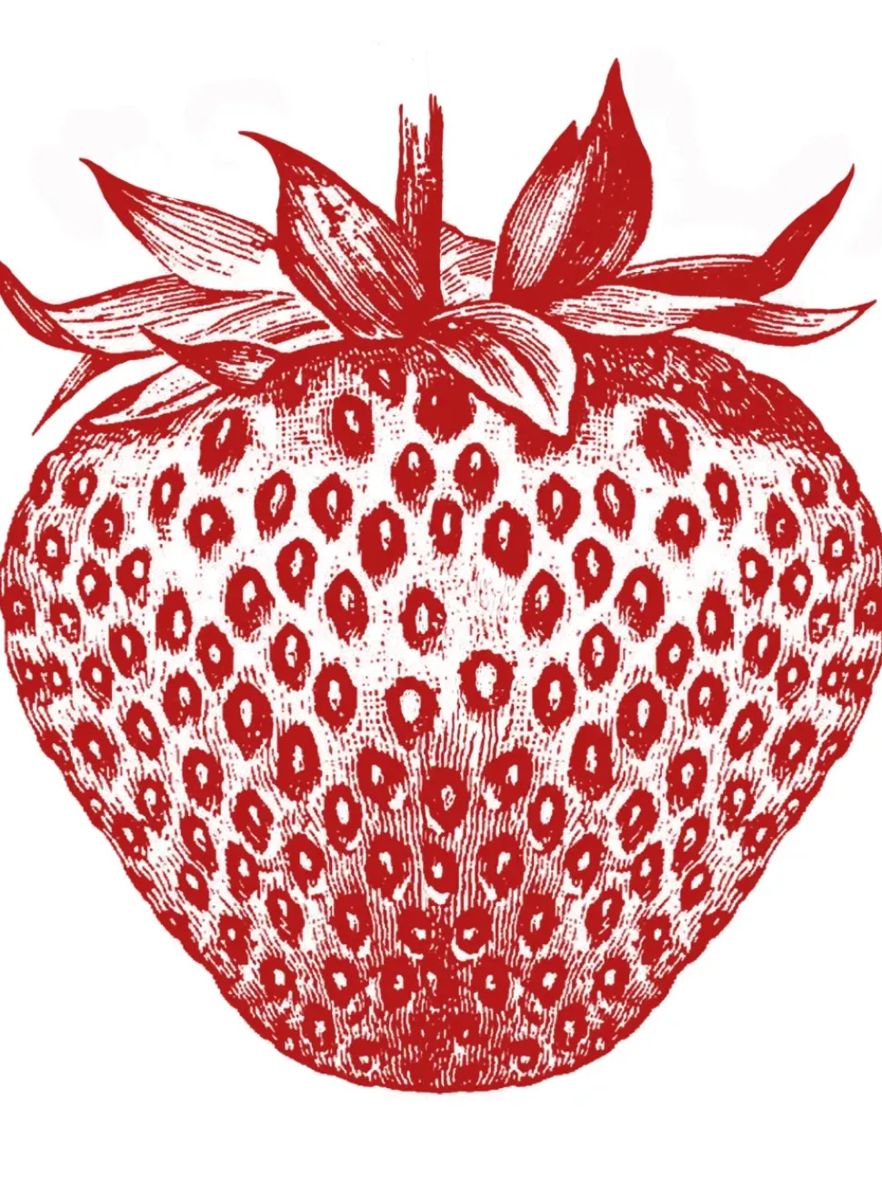 Pia Pullover - Strawberry