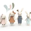 Rabbit Family