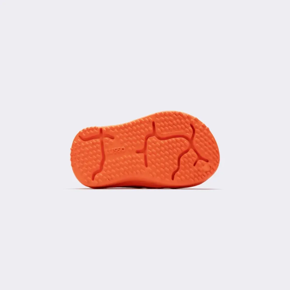 Scenario Kids - Carrot