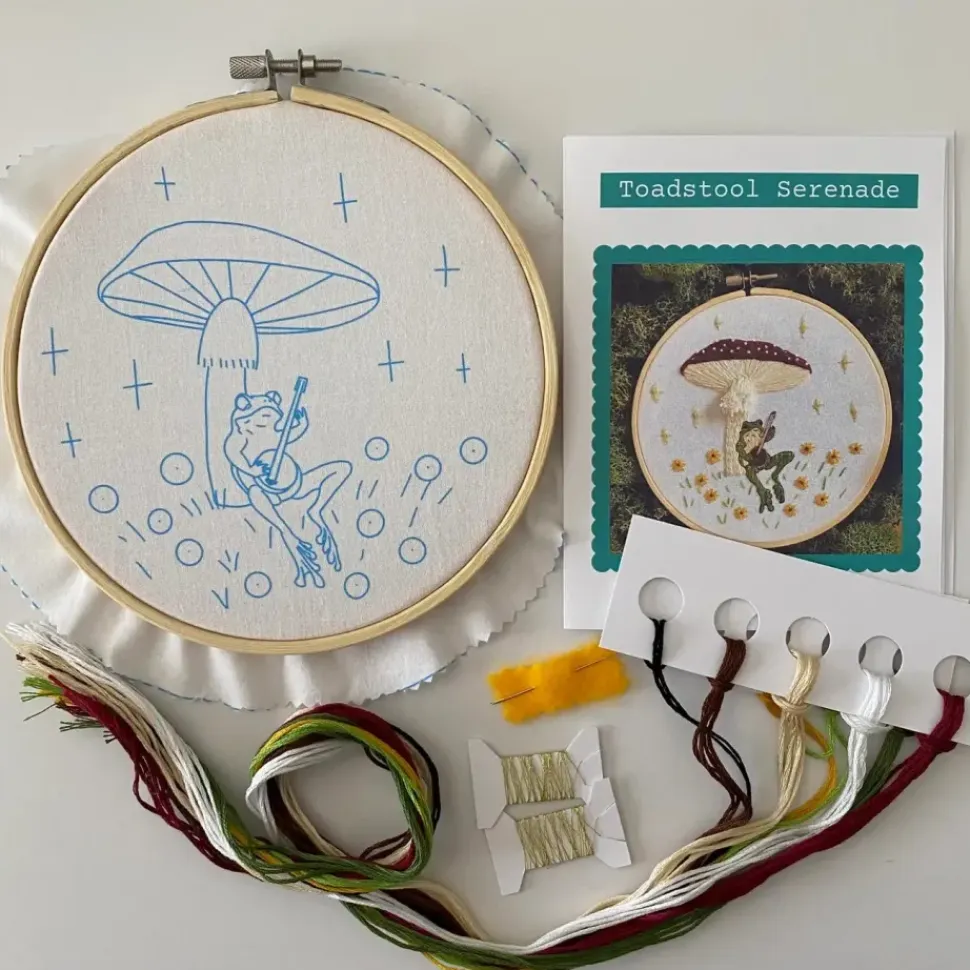 Toadstool Serenade Frog & Mushroom Craft Diy Embroidery Kit