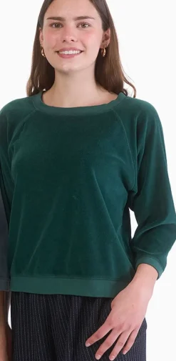 Velour Sweatshirt - Two Colors