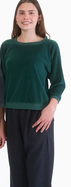 Velour Sweatshirt - Two Colors