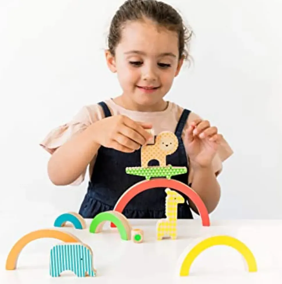 Wild Rainbow Wooden Balancing Game