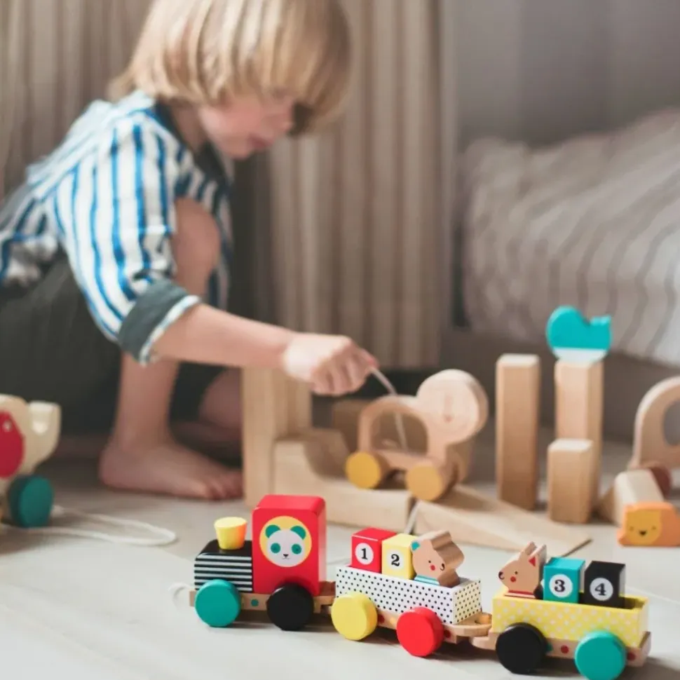 Wooden Pull Along Train