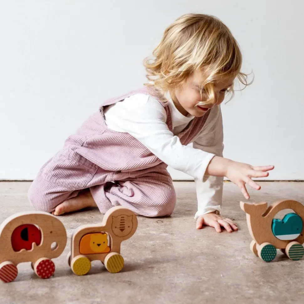 Wooden Push Along Whale Toy