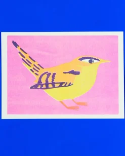 Wren Print