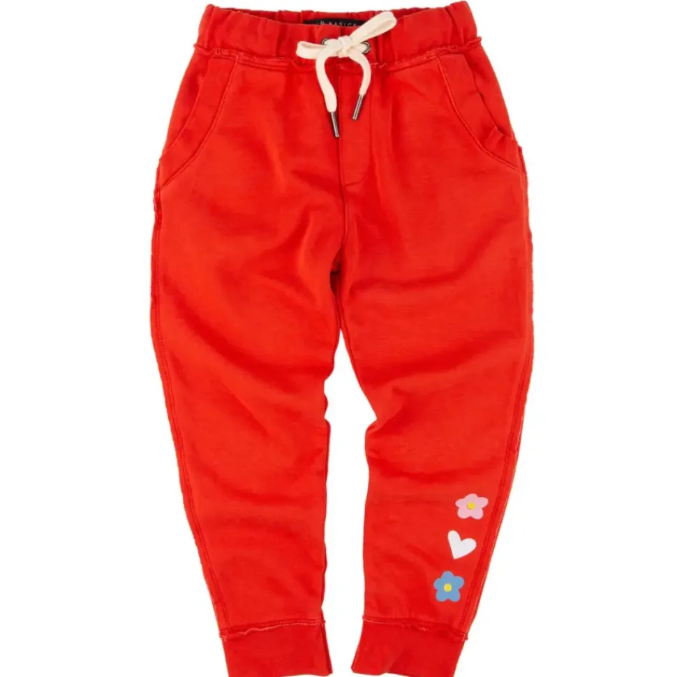 Ziggy Jogger Rainbow Handball
